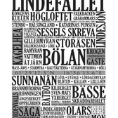 Lindefallet Plats Poster Version2_40x50cm